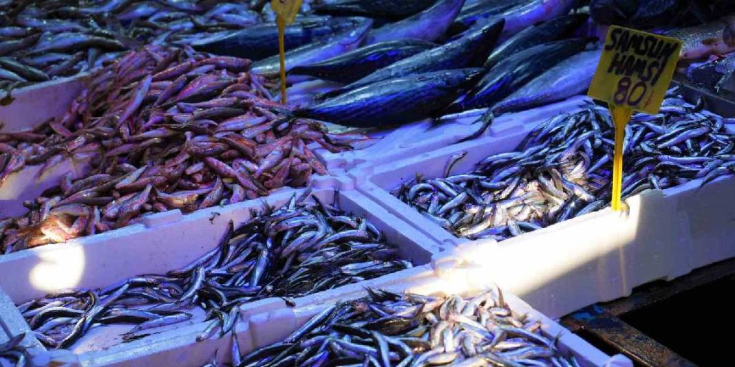 Fiyatı düştü, duyan koştu! Tezgahlarda 80 liradan kapış kapış satılıyor: Palamudun tahtını bile salladı 1